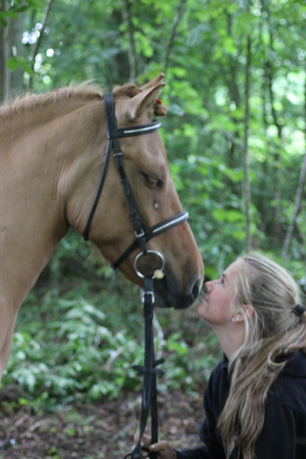 Anden særlig race Freja billede 9