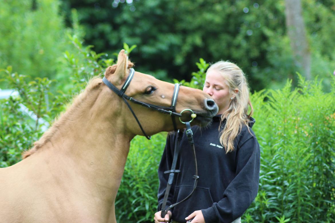 Anden særlig race Freja billede 10