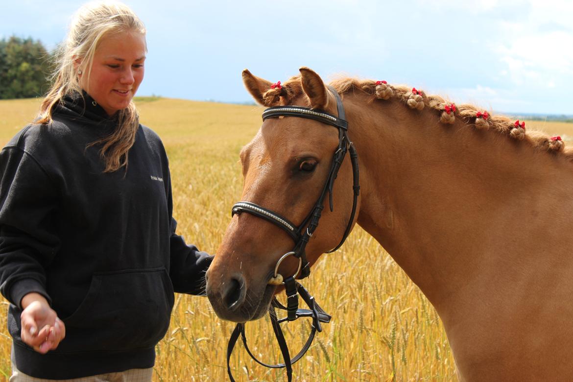 Anden særlig race Freja billede 14