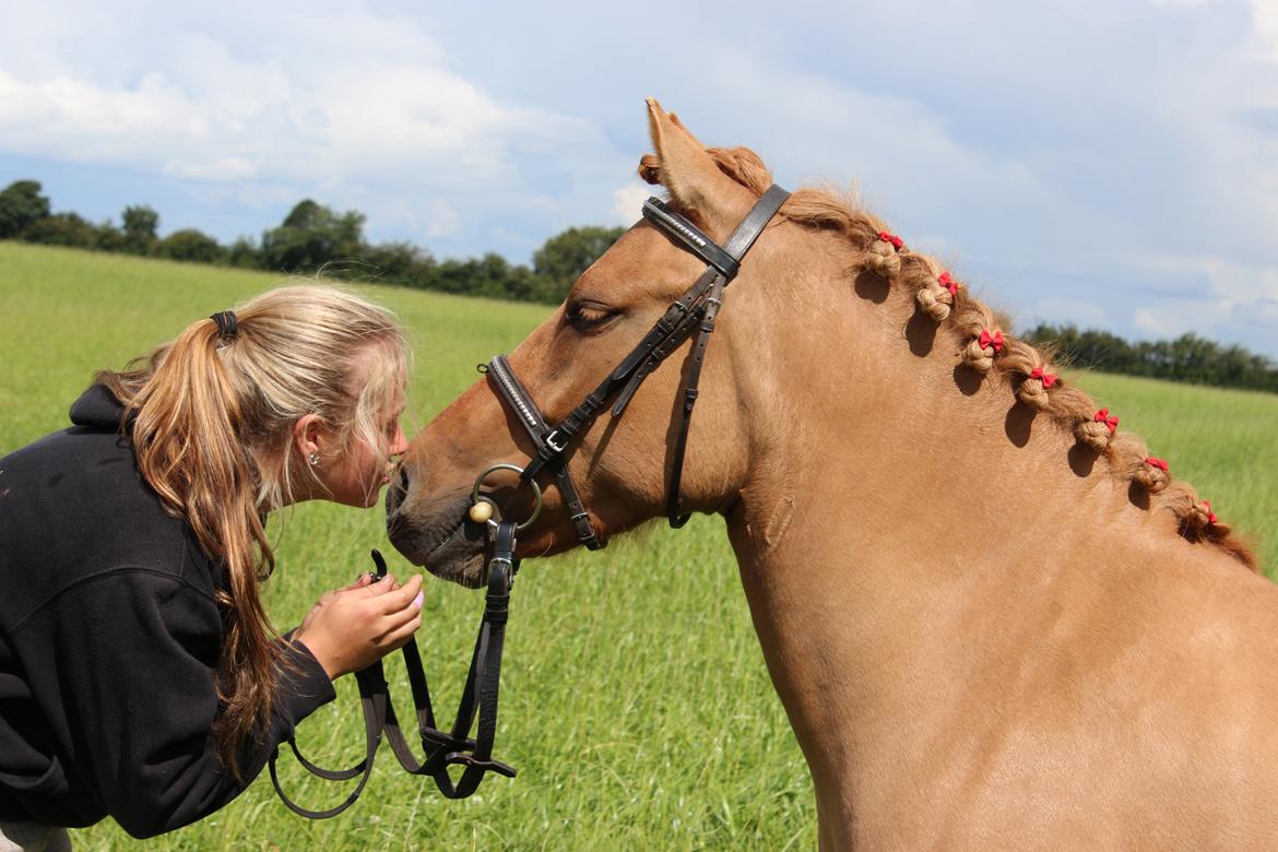 Anden særlig race Freja billede 15