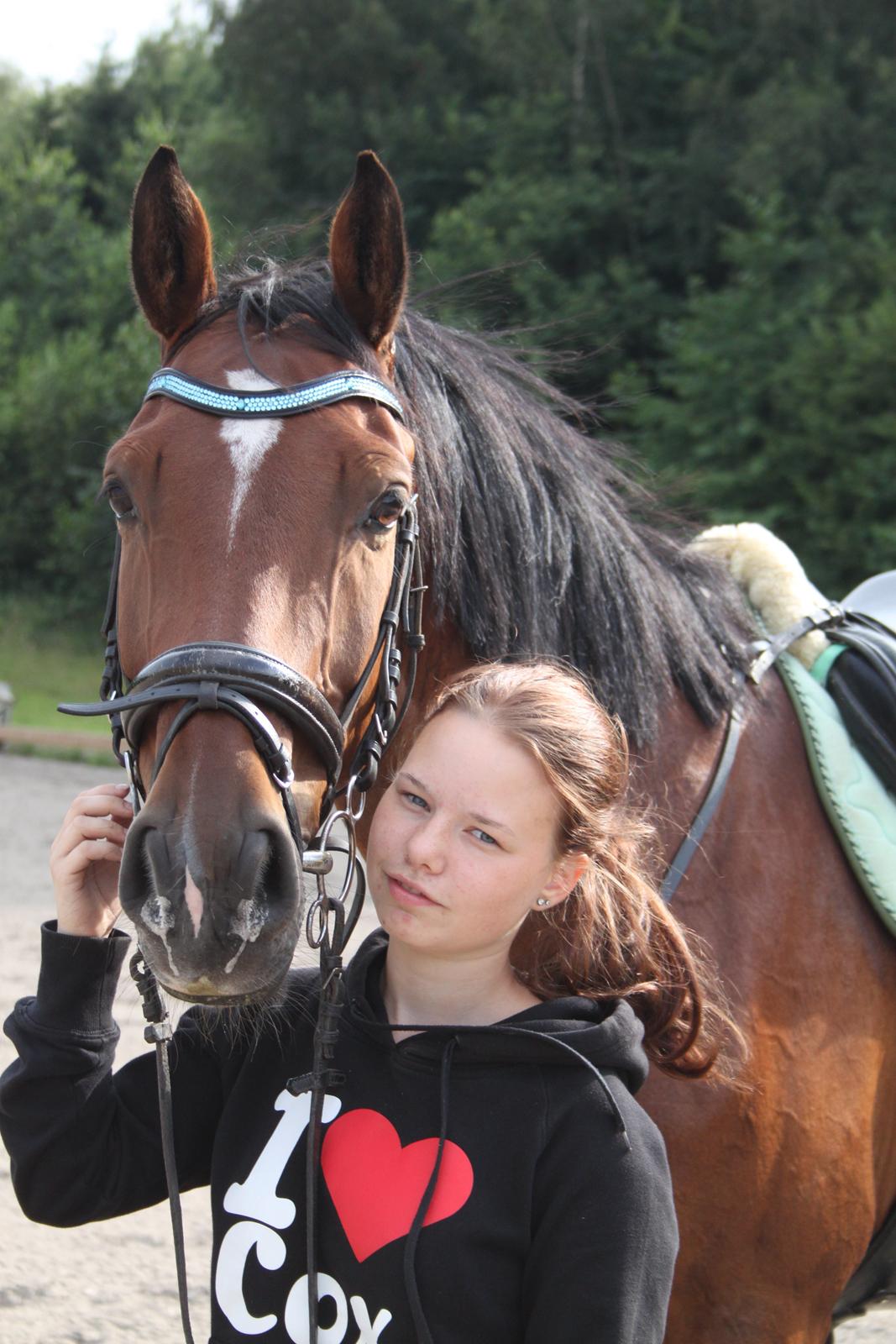 Dansk Varmblod Aprillo<3 - Du har taget mit hjerte med storm! <3 Skønne hest! 
Foto:Stinne<3 billede 6