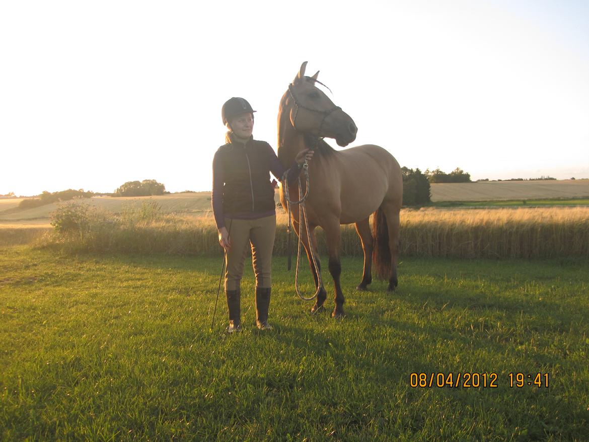 Anden særlig race Perle - Vi nyder aftensolen efter horsemanship-træning. Sommer '12. billede 2