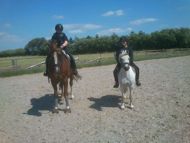 Welsh Mountain (sec A) Rosso Bianco - Mig på Mirac og Laura på Rosso
27-07-12 Foto: Lone billede 9