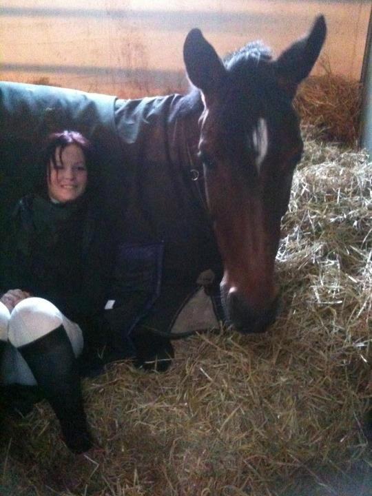 Dansk Varmblod *Bøgelys Cool Cash* B-hest - Hygge i boksen :-)  billede 20
