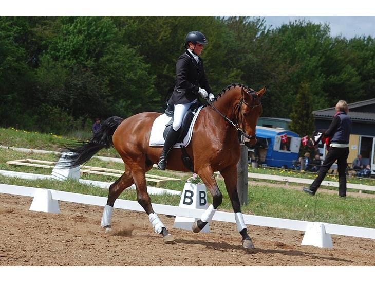 {{currentPhoto.altText}} billede {{currentPhoto.number}}