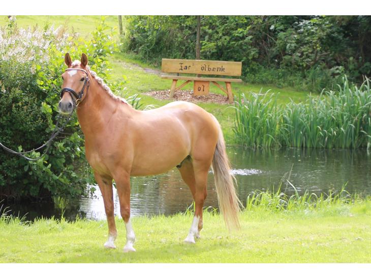 {{currentPhoto.altText}} billede {{currentPhoto.number}}