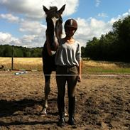 Barockpinto Makayla ( Maggie )