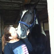 Barockpinto Makayla ( Maggie )