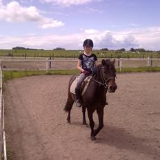 Anden særlig race - Sambo, den sejeste vallak!<3 :-)