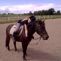 Anden særlig race - Sambo, den sejeste vallak!<3 :-)