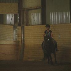 Anden særlig race - Sambo, den sejeste vallak!<3 :-)