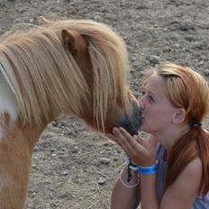 Shetlænder Laura <3 [Passer]