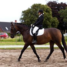 Anden særlig race St. A. Washeba
