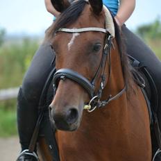 DSP Juliane Søblink<3