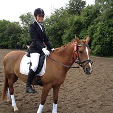 Hollandsk Sportspony nina PIGE<3<3
