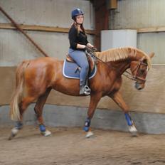 Frederiksborg Bakkegårds Nathasja