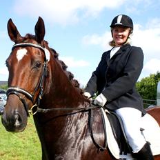 Dansk Varmblod Don Deigo II af Lilleris