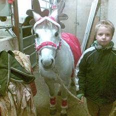 Anden særlig race Dollargirl´s Lucky *R.i.p*