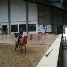 Anden særlig race Amanda <3 **PART**