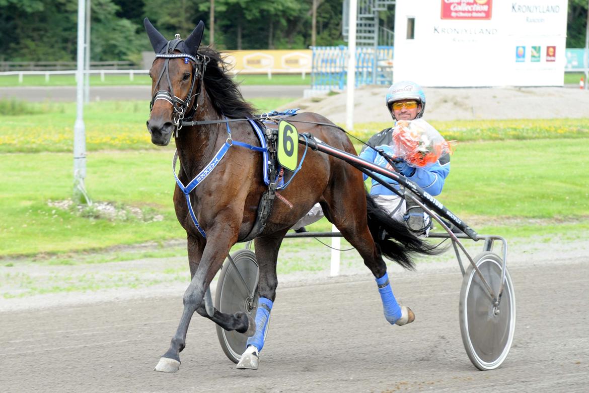 Traver Rotation Yankee *DØD* - en stjerne i sig selv <3  billede 15