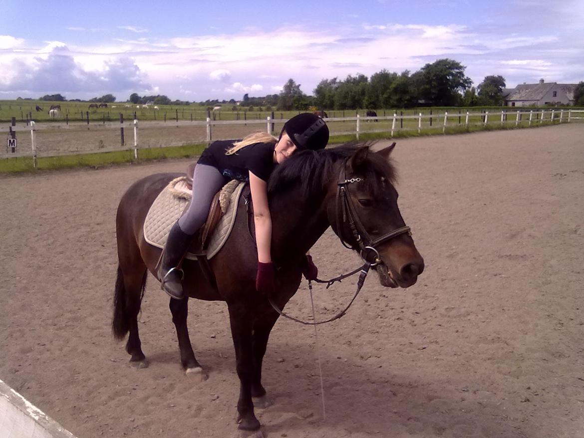 Anden særlig race - Sambo, den sejeste vallak!<3 :-) - I love you Sambo!<3 billede 2