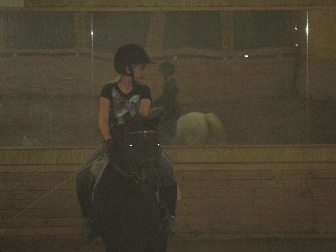 Anden særlig race - Sambo, den sejeste vallak!<3 :-) - Os to i det mørke ridehus!<3 billede 4