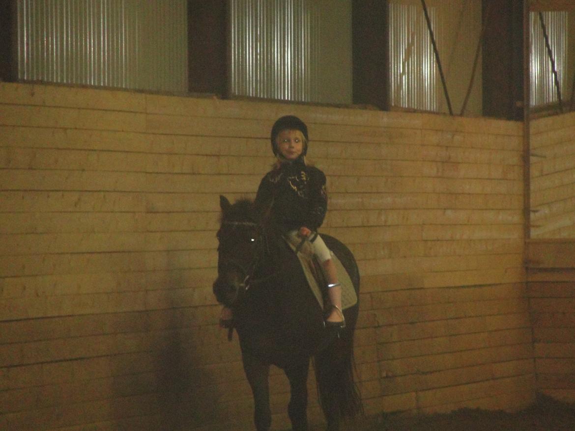 Anden særlig race - Sambo, den sejeste vallak!<3 :-) - Laura (min lillesøster) ride på ham<3! billede 5