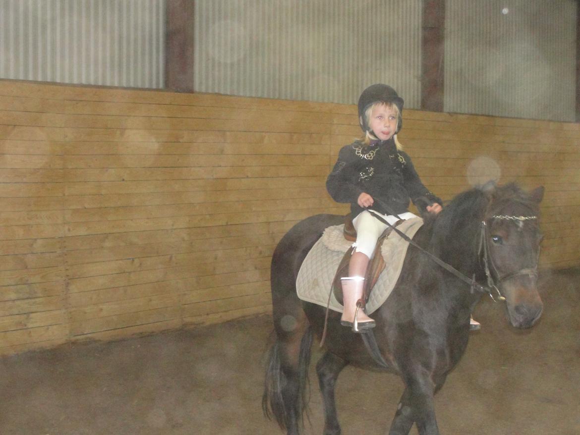 Anden særlig race - Sambo, den sejeste vallak!<3 :-) - Laura og Sambo, i er så søde sammen!<3 billede 6