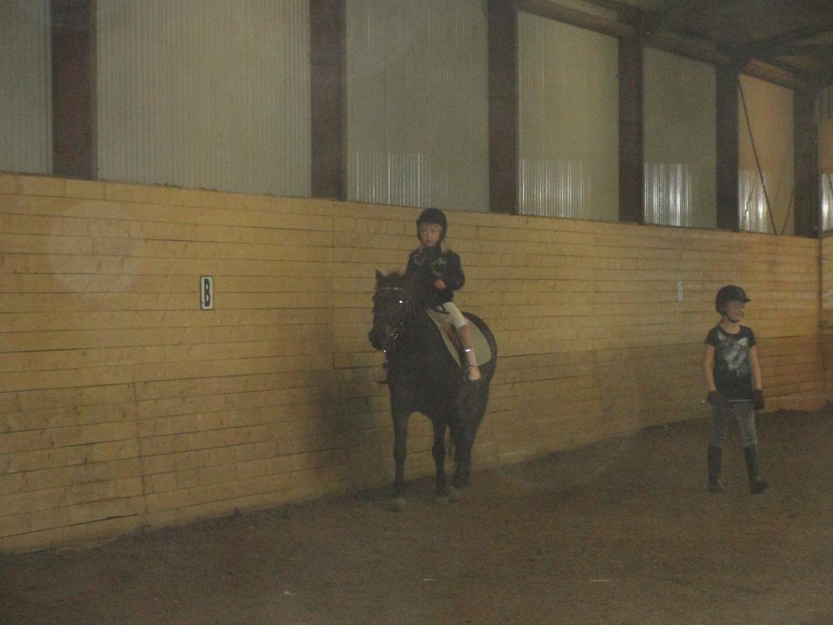 Anden særlig race - Sambo, den sejeste vallak!<3 :-) - Laura og Sambo.<3 billede 7