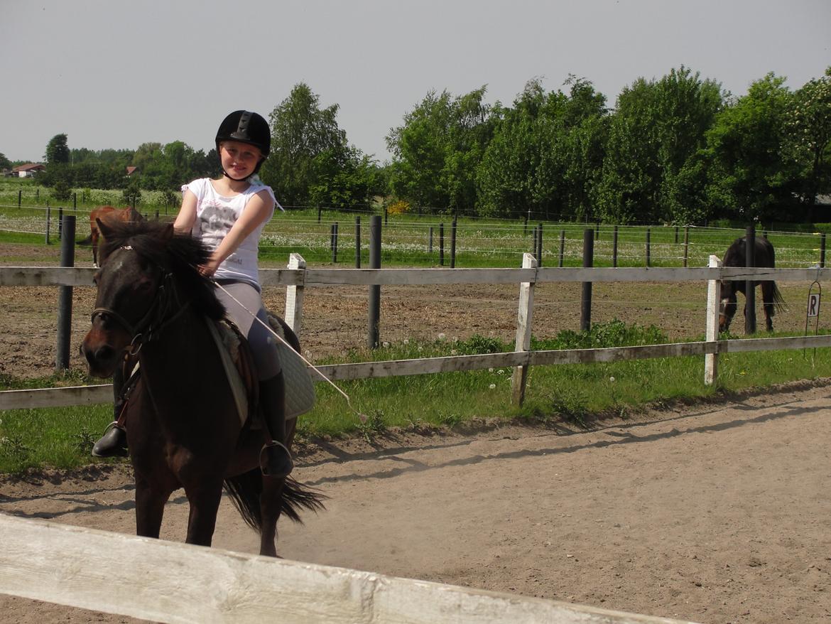 Anden særlig race - Sambo, den sejeste vallak!<3 :-) - Ude i den friske luft.<3 billede 11