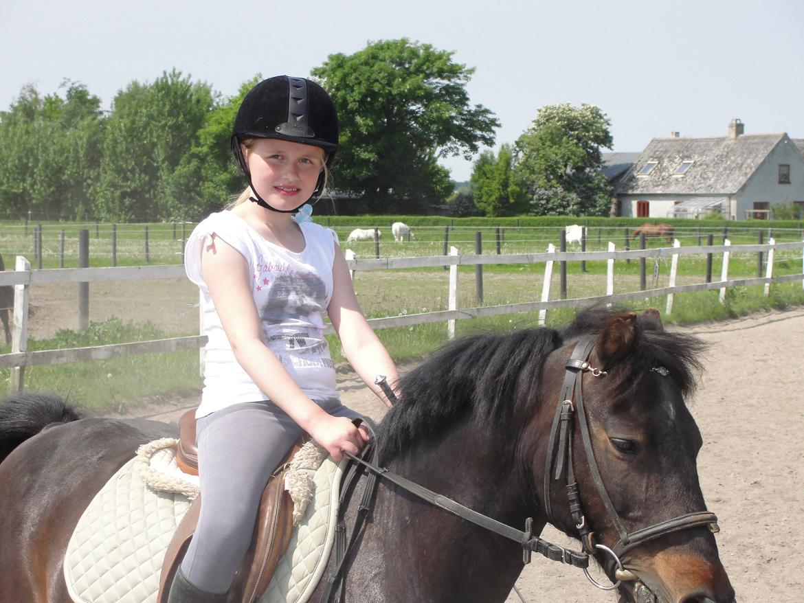 Anden særlig race - Sambo, den sejeste vallak!<3 :-) - Du er alt.<3 billede 12