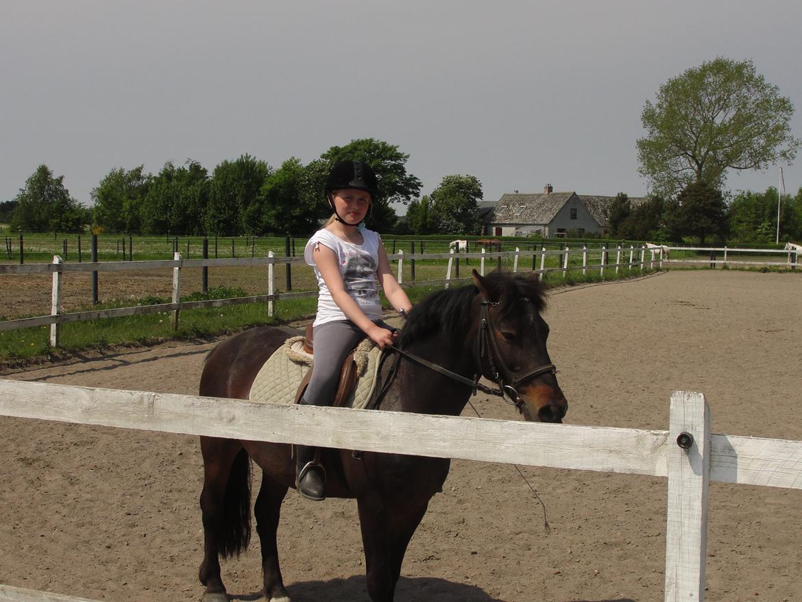 Anden særlig race - Sambo, den sejeste vallak!<3 :-) - Hehe.<3 billede 13