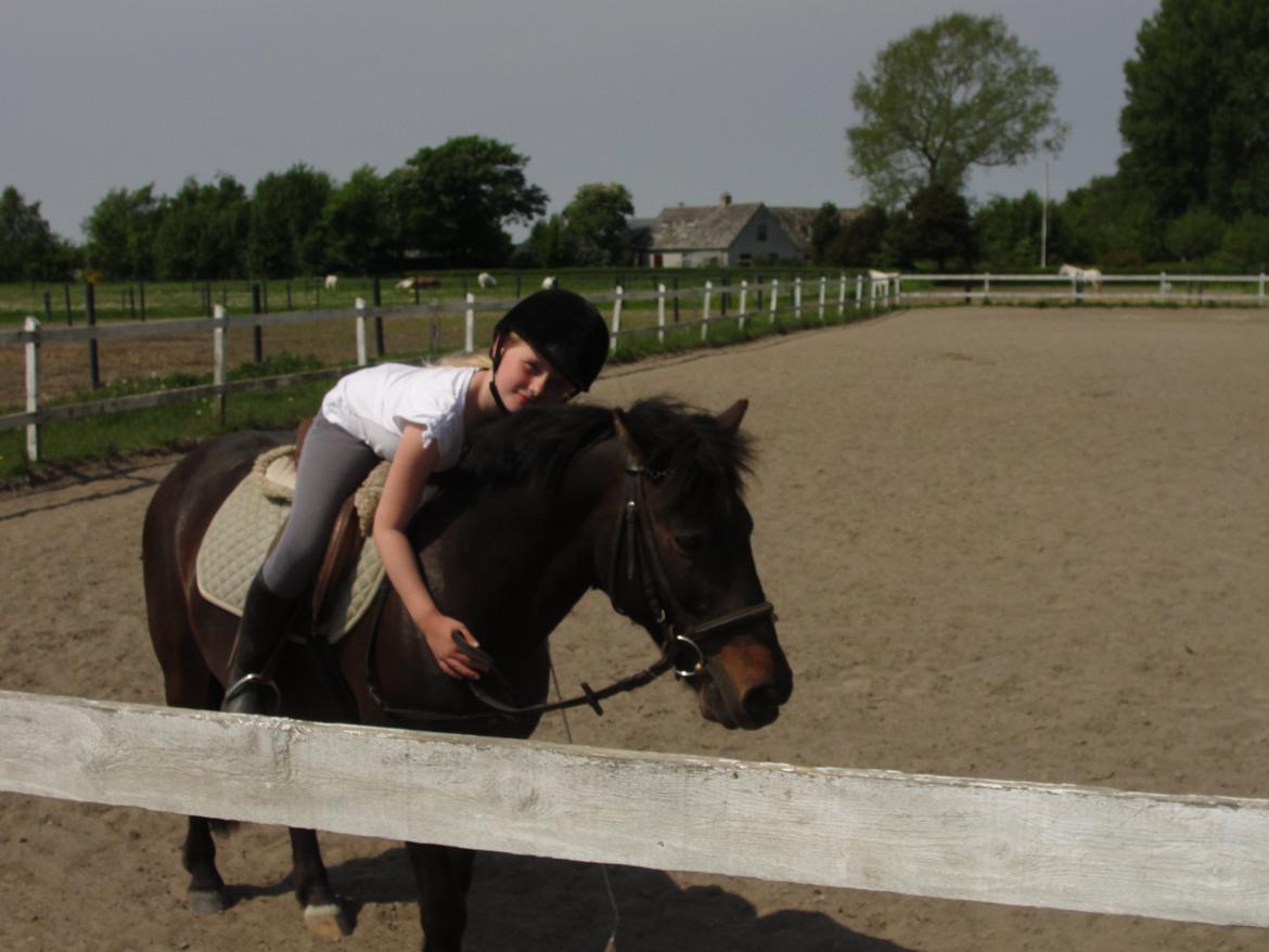 Anden særlig race - Sambo, den sejeste vallak!<3 :-) - Du min, og ingen andres!<3 billede 17