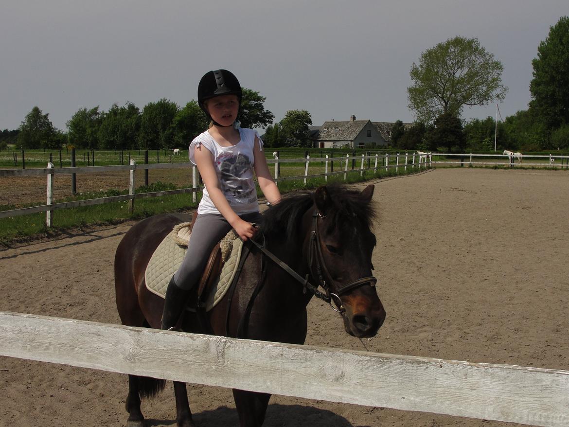 Anden særlig race - Sambo, den sejeste vallak!<3 :-) - Du min engel.<3 Dejlige ven.<3 billede 18