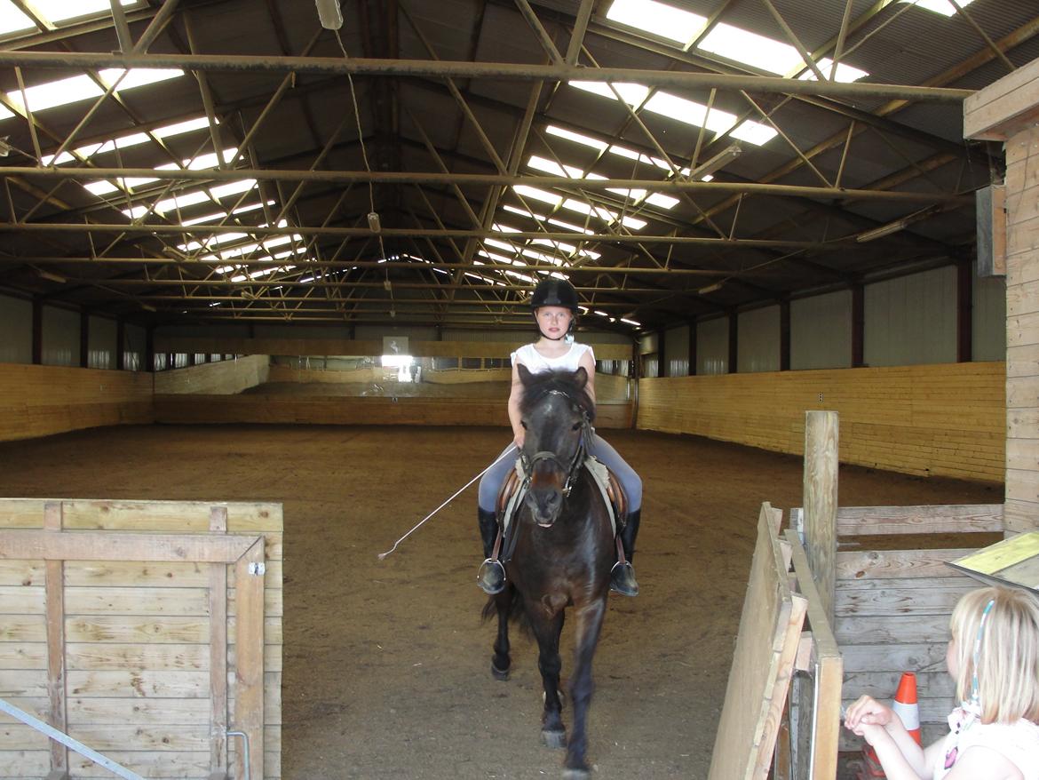 Anden særlig race - Sambo, den sejeste vallak!<3 :-) - Mange tak for kigget, håber i byder velkommen/ligger en kommentar og bedømelse.<3 billede 19