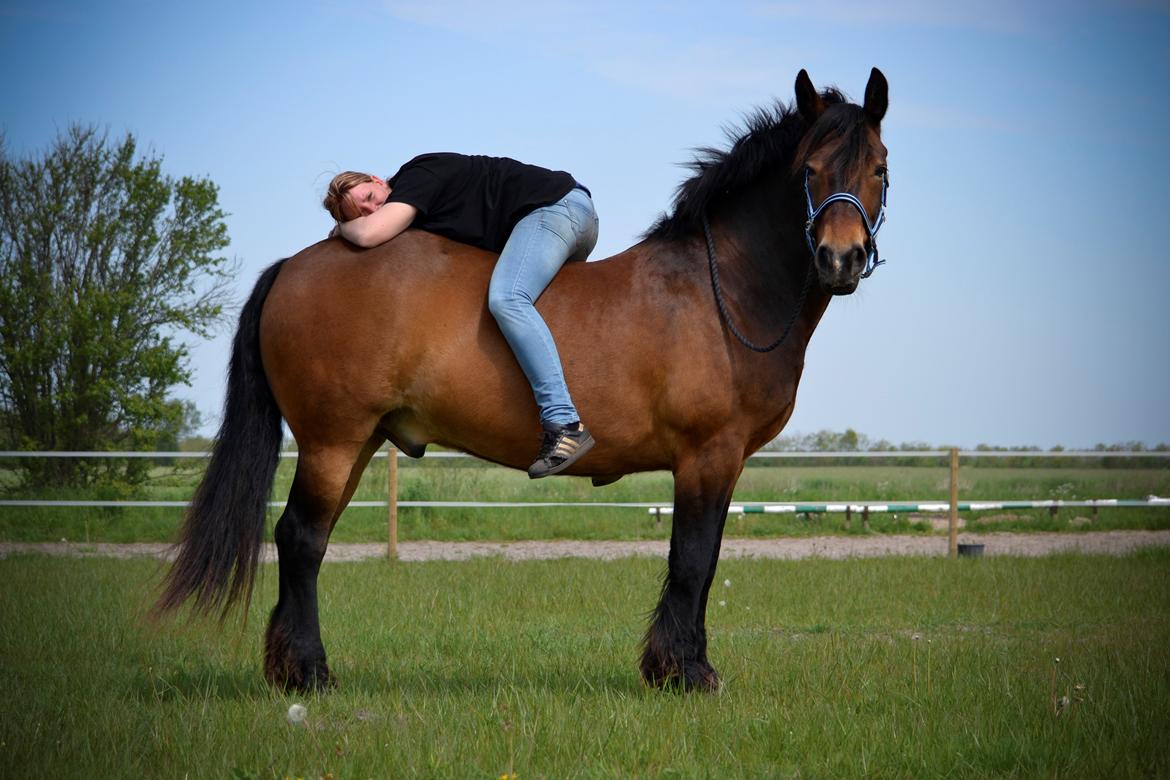 Anden særlig race Elmegårdens Mogcy - A friend is one of the nicest things you can have, and one of the best things you can be. 

 Taget af: Tanja Ludvigsen. billede 5