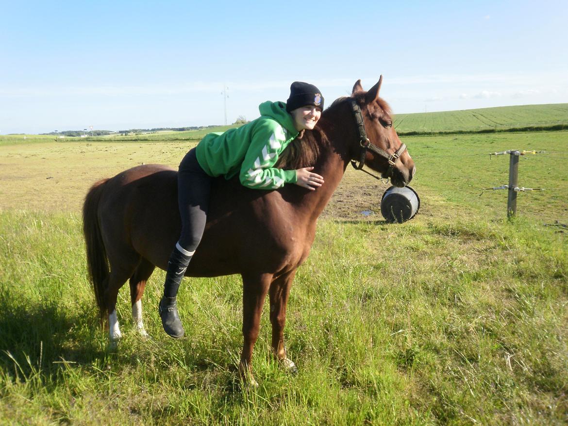 Anden særlig race Red Surprise - Sommer 2012.. Hun er min lille guldpony - min prinsesse.. <3 billede 34