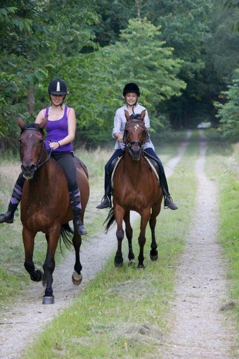 Traver Dennis billede 1