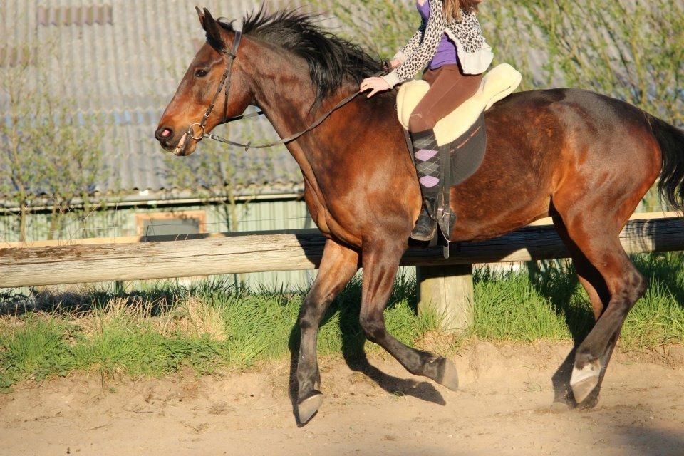 Traver Dennis billede 8