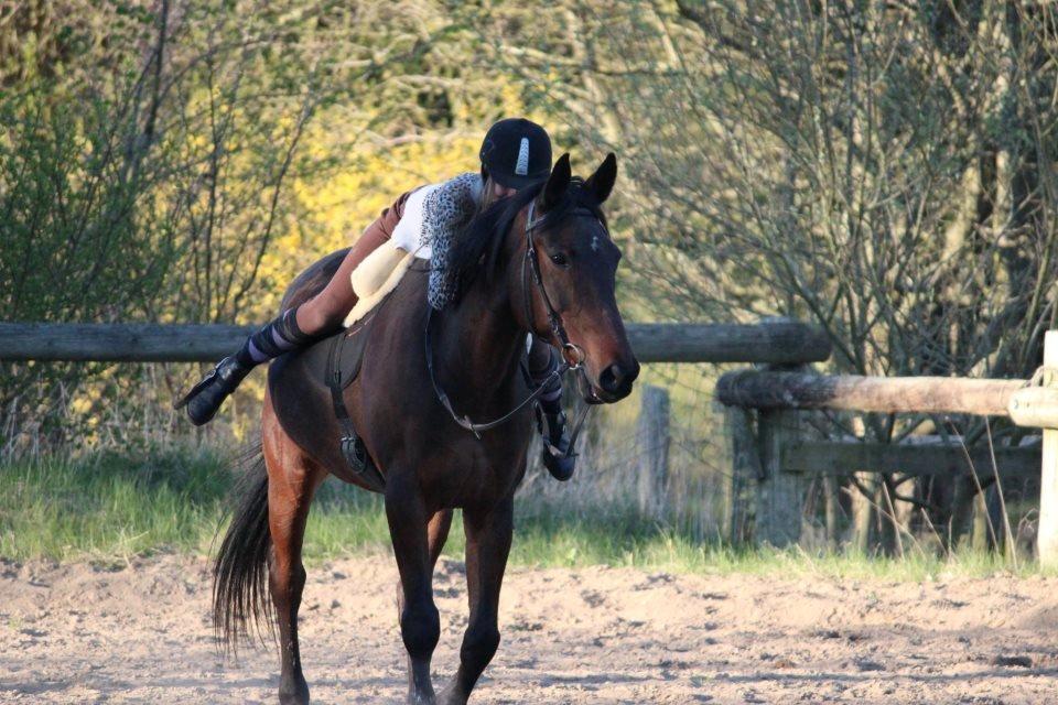 Traver Dennis billede 9