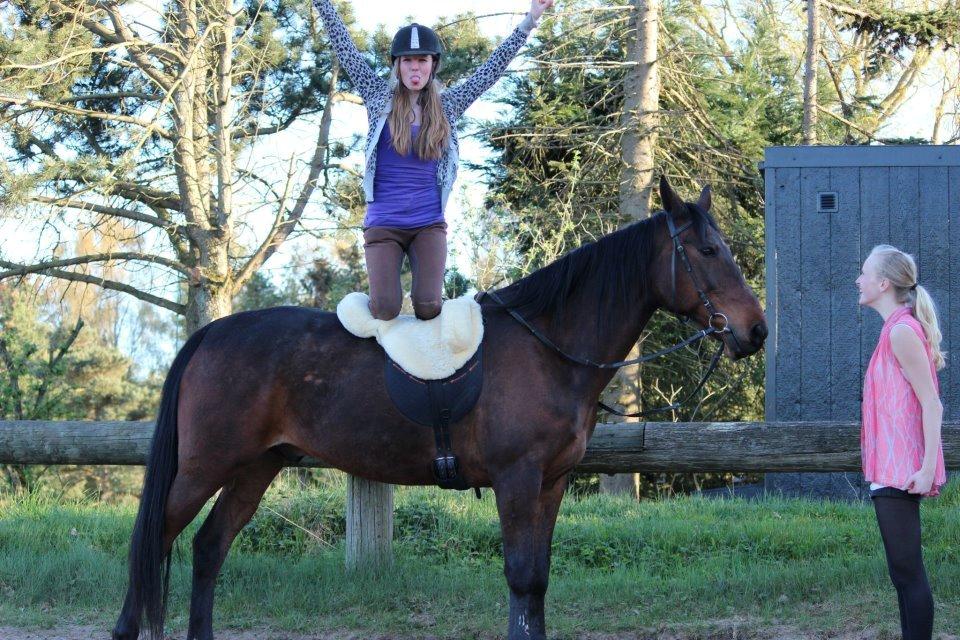 Traver Dennis billede 10