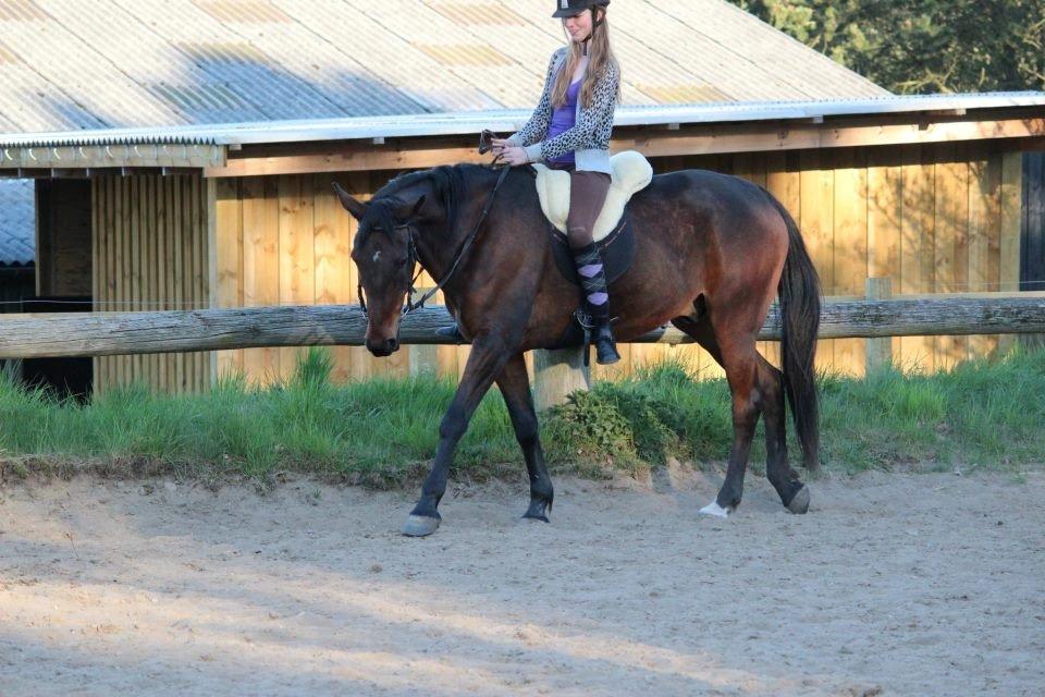 Traver Dennis billede 11