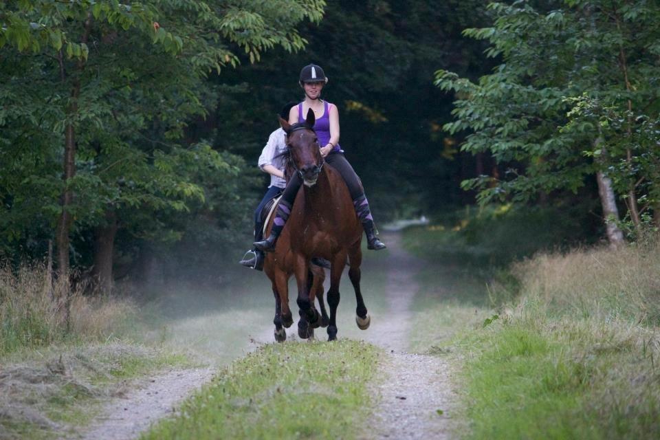 Traver Dennis billede 13