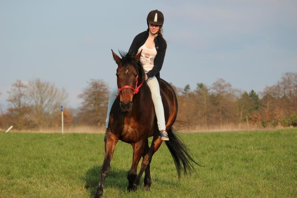 Traver Dennis billede 14