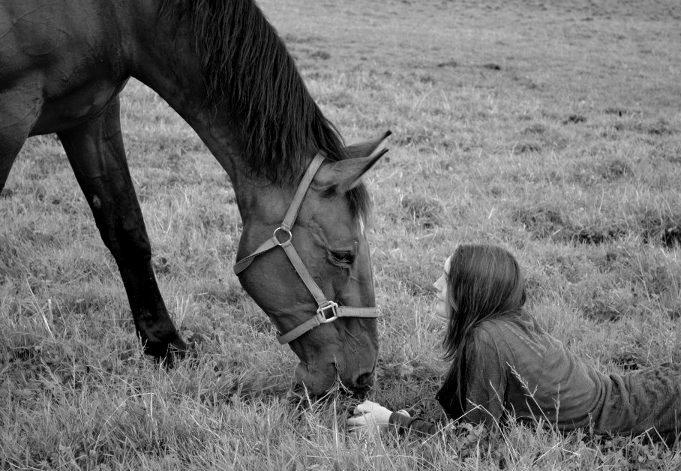 Dansk Varmblod Felicity bbh | Felle <3 - Nr . 5 <3 Foto: Anna Rydell <3 Jeg elsker dig **;  billede 5