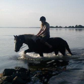 Irish Cob Plet (Hotspot<3) - Mig og dejlige Plet i vandet :)<33  billede 8