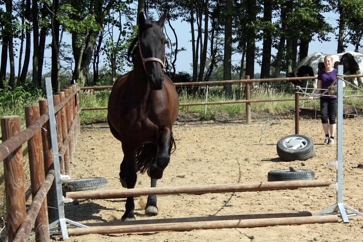 Frieser Roose - 24 Juli 2012 - Første gang Roose løsspringer. billede 5