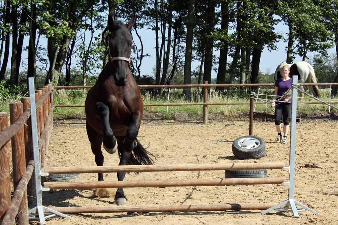 Frieser Roose - 24 Juli 2012 - Første gang Roose løsspringer. billede 15