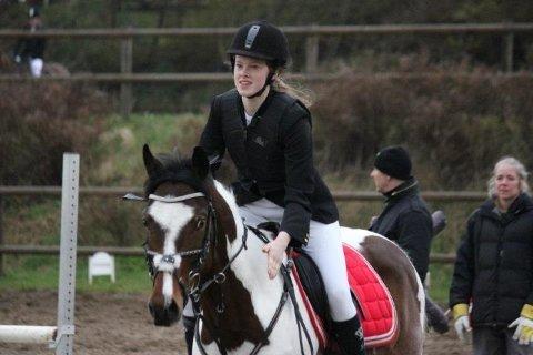 Pinto Olando billede 1