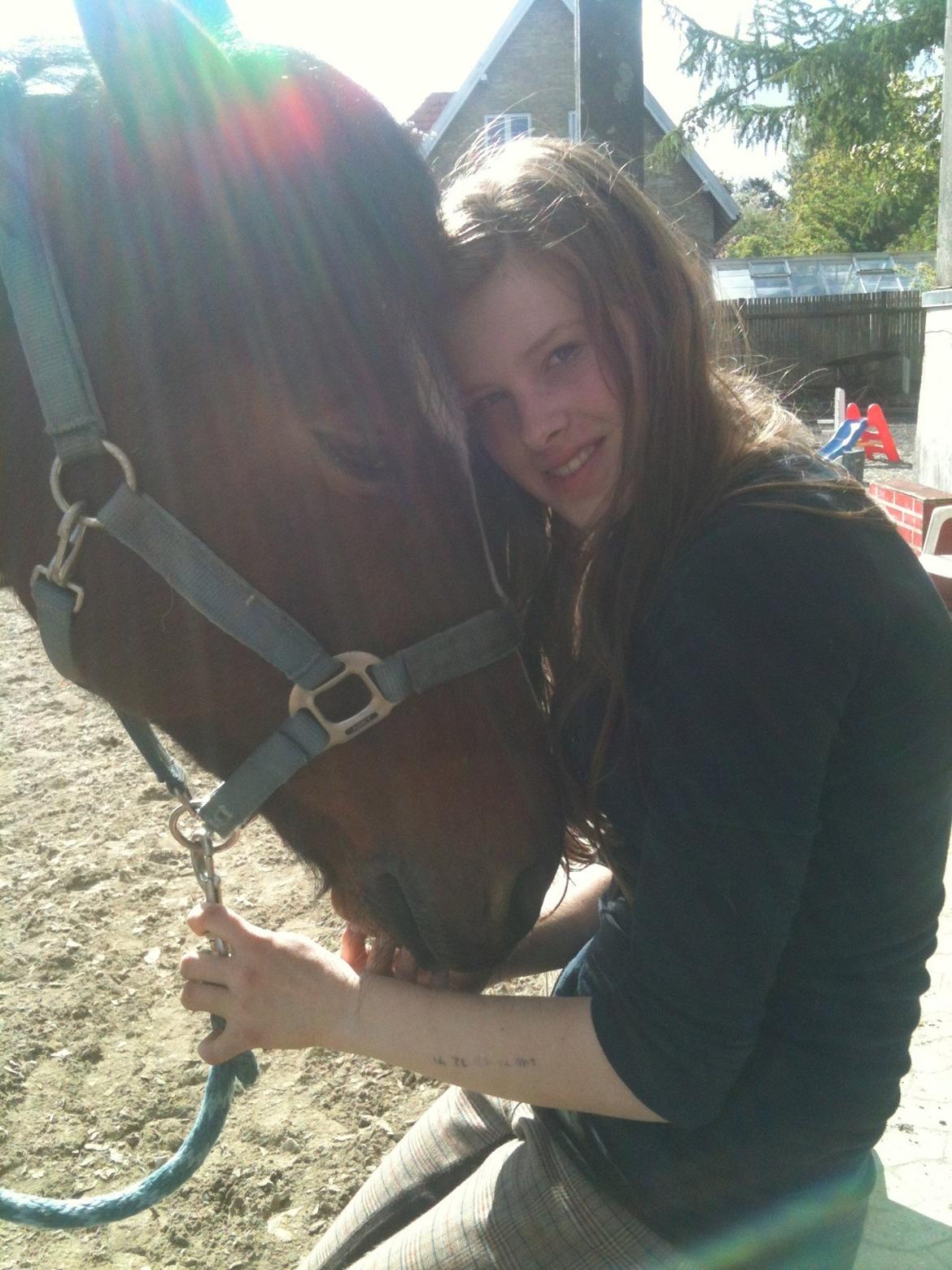 Pinto Olando billede 12